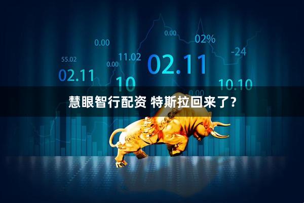 慧眼智行配资 特斯拉回来了？