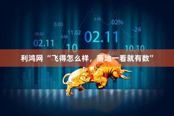 利鸿网 “飞得怎么样，落地一看就有数”